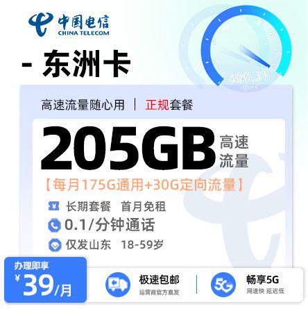 电信东洲卡【山东专属】 39元/月享125G全国通用流量+50G山东省内通用+30G定向