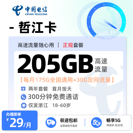 电信哲江卡【浙江专属】 29元/月享175G全国通用流量+30G定向流量+300分钟通话