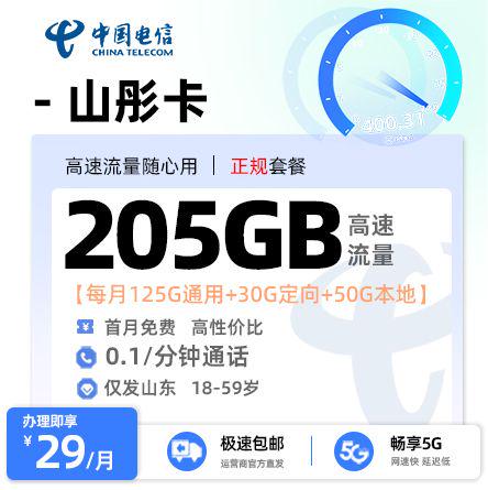 电信山彤卡【山东专属】 29元/月享125G全国通用流量+50G山东省内通用+30G定向